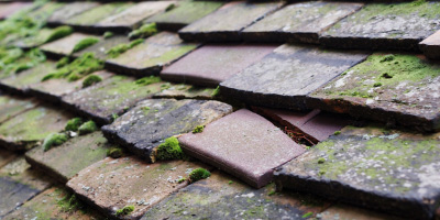 Roselands roof repair costs